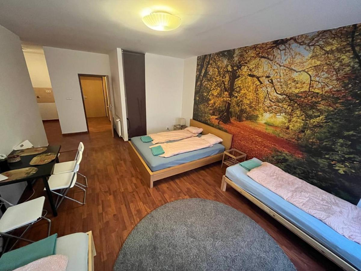 Apartments Spolkova Brünn  Kültér fotó